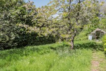 Images for High Street, Hawkhurst